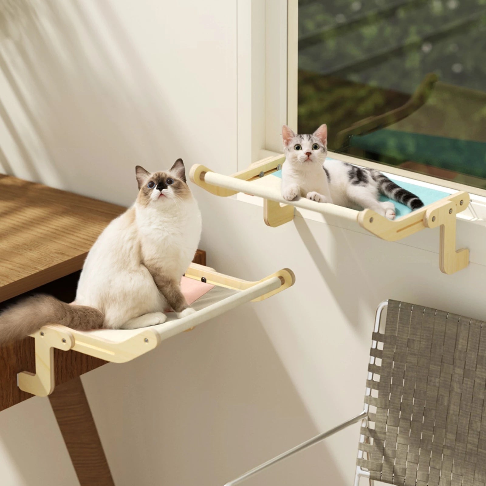 Cat Plywood Window Perch