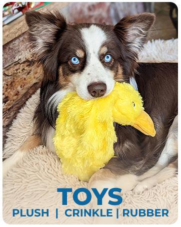 Soft Squeaker Duck Dog Chew Toy