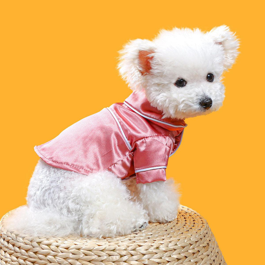 Soft Silk Dog Pajamas