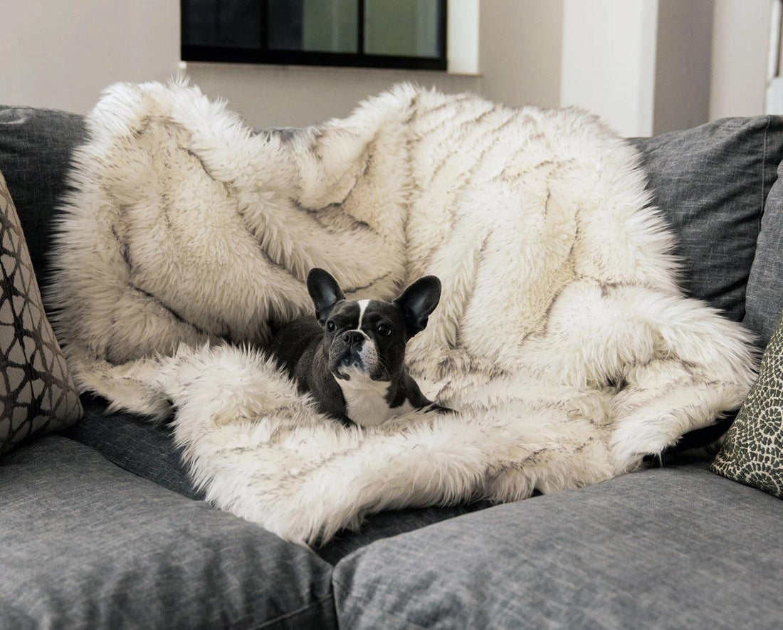 Waterproof Pet Warm Soft Throw Blanket 