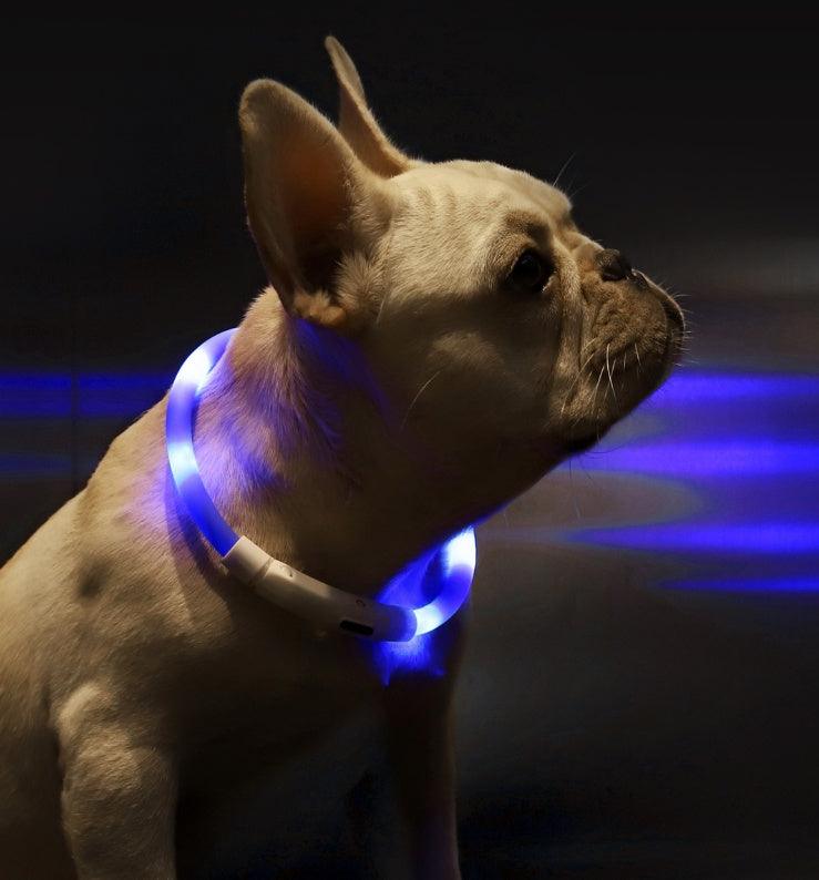 Pet Anti-Lost Light Collar