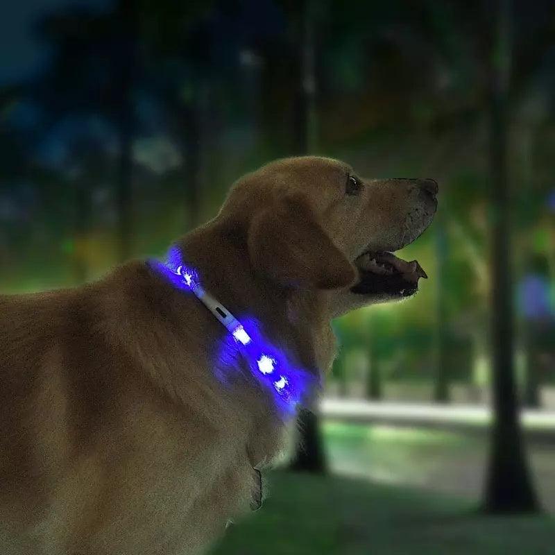 Pet Anti-Lost Light Collar