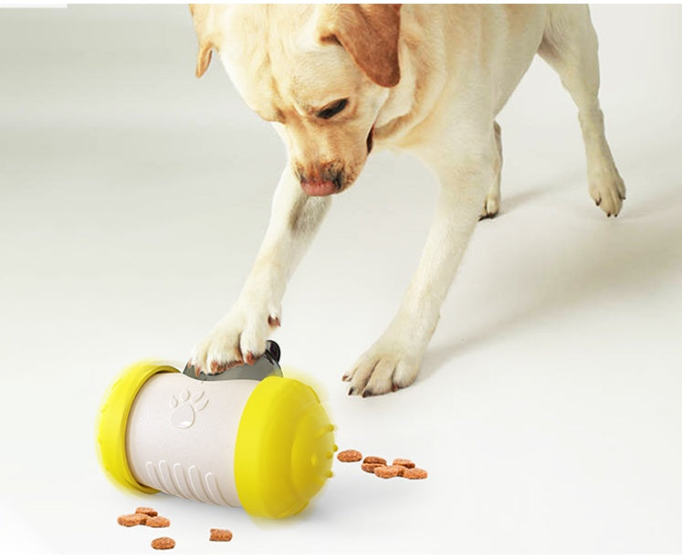 Interactive Pet Treat Dispenser Toy