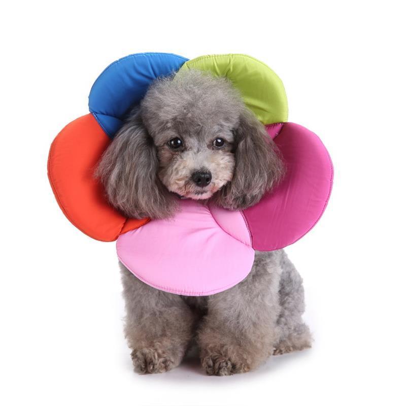 Pet Neck Protection Flower Collar