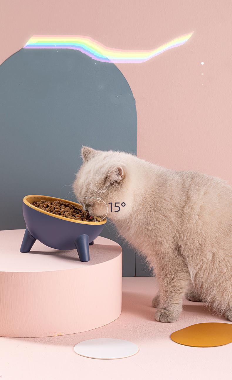 15° Tilted Raised Pet Feeding Bowls