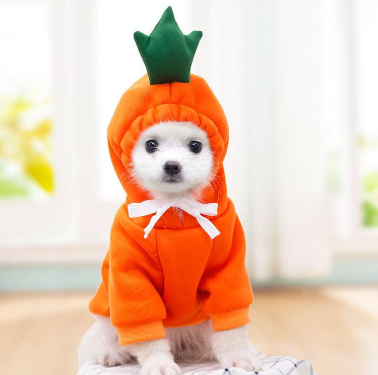 Cute Warm Small Dog Hoodies