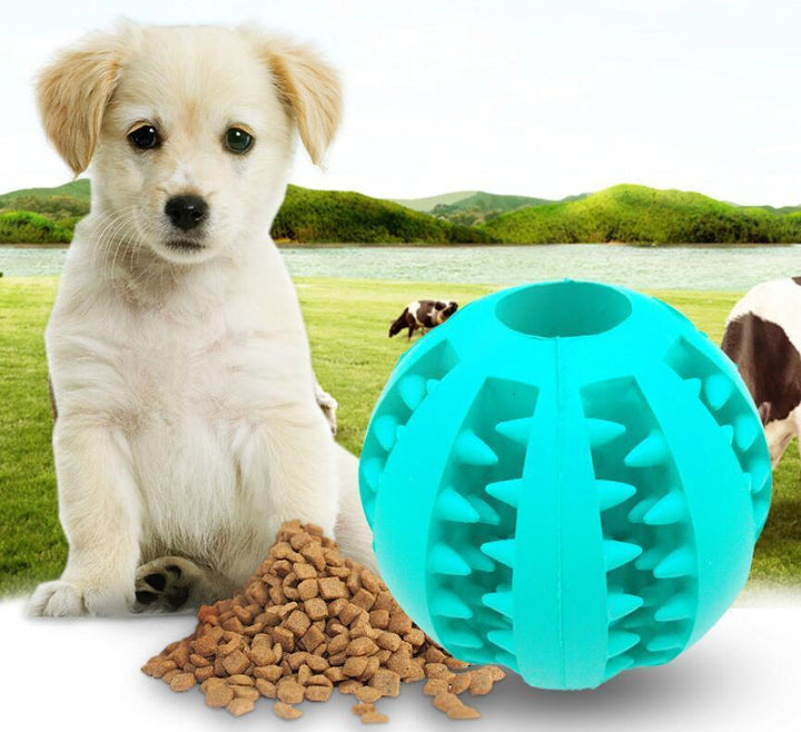 Dog Slow Feeder Rubber Ball Toy