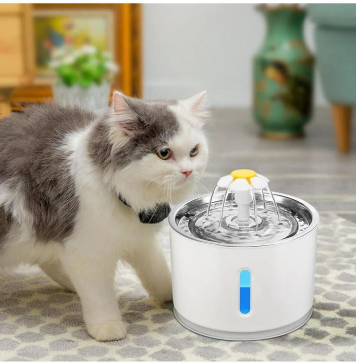 Automatic Pet Water Fountain With LED Light