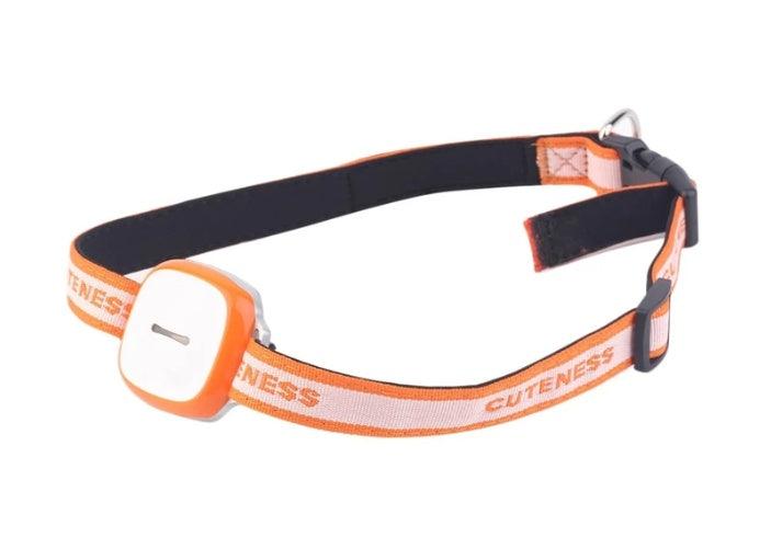 Pet GPS Tracking Collar