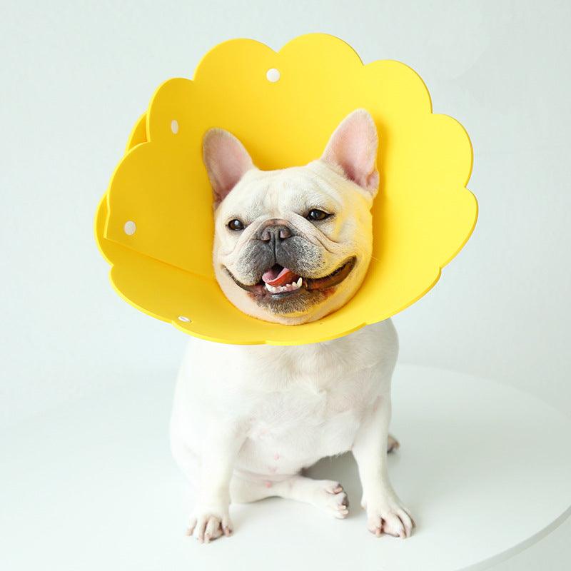 Sunflower Pet Recovery Collar Head Cover