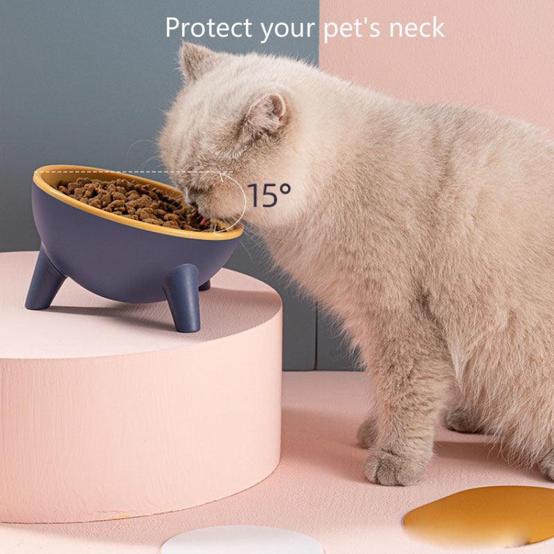 15° Tilted Raised Pet Feeding Bowls