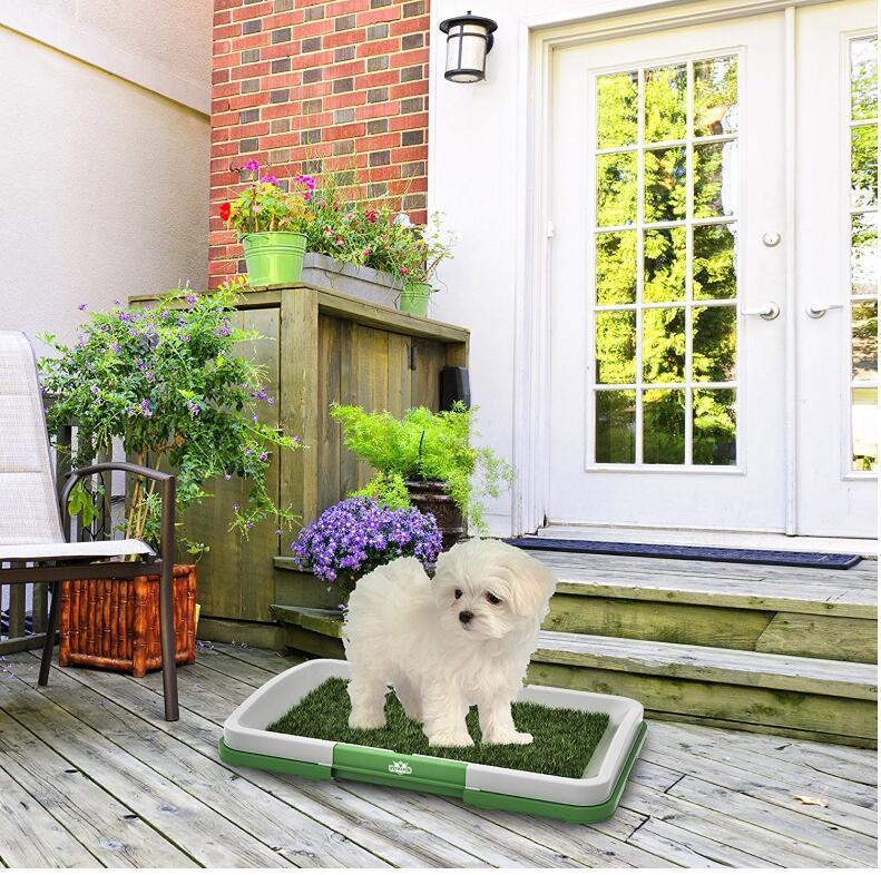 Flat Pet Potty Lawn Trumpet Toilet