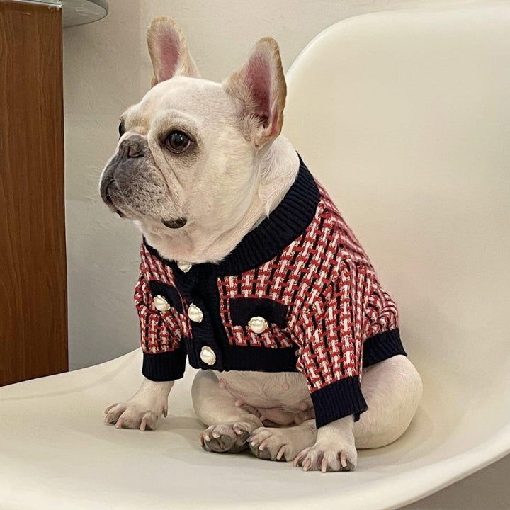 Fashion Cute Print Winter Pet Sweater