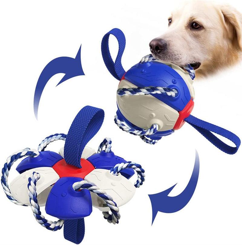 Interactive Dog Training Soccer Football