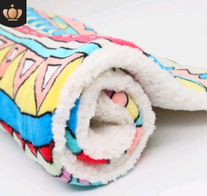 Cute Printed Pet Blankets Mats