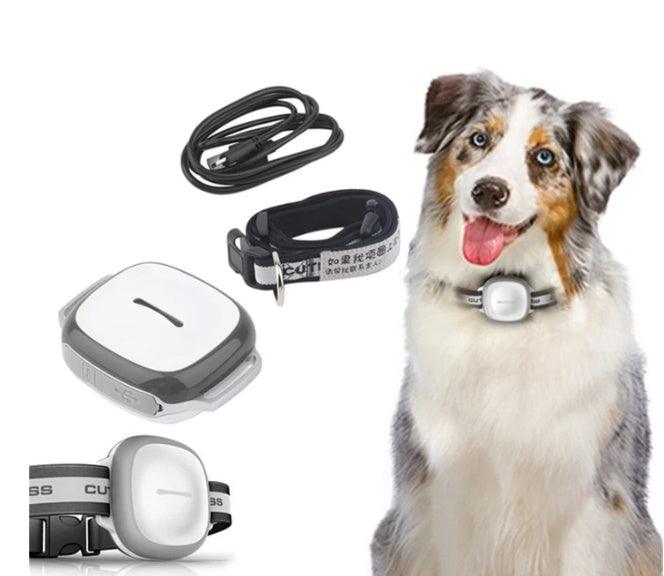 Pet GPS Tracking Collar