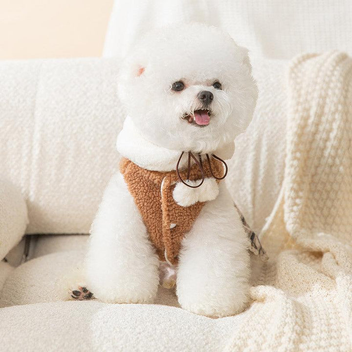 Teddy Bear Small Pet Winter Dress