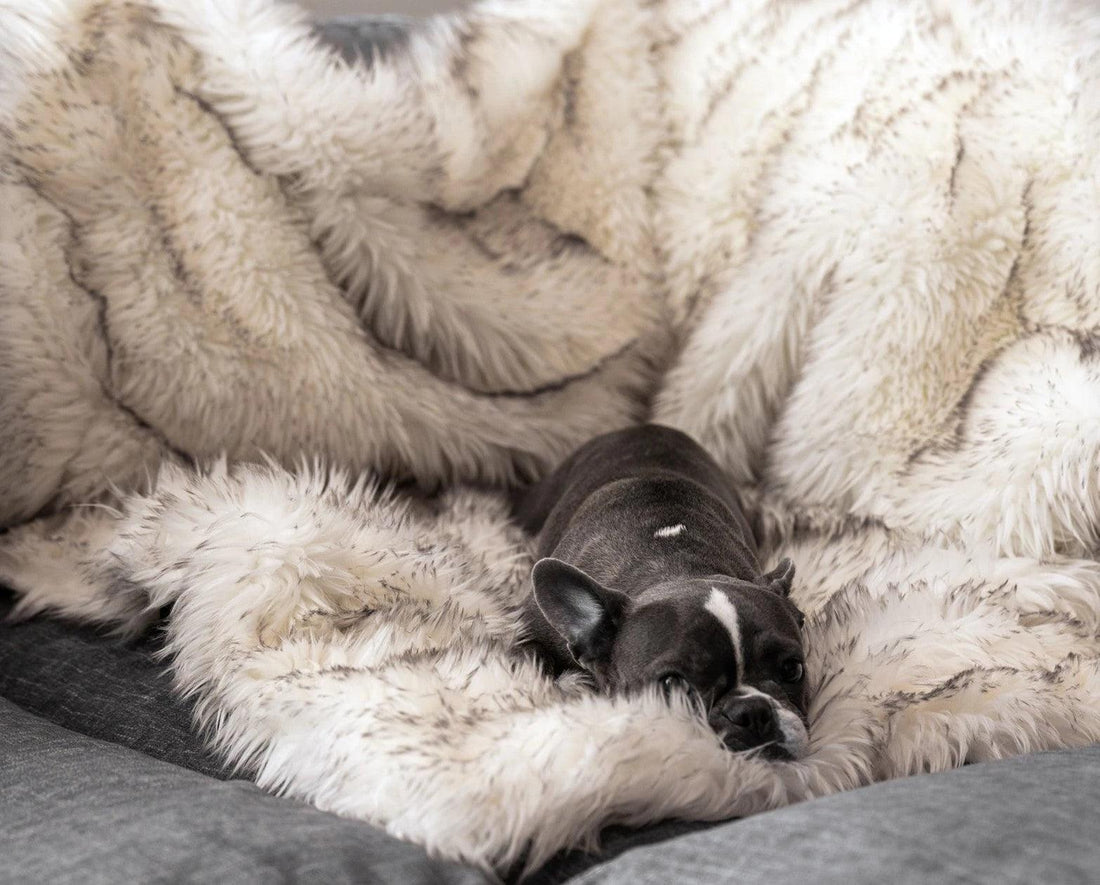 Waterproof Pet Warm Soft Throw Blanket 