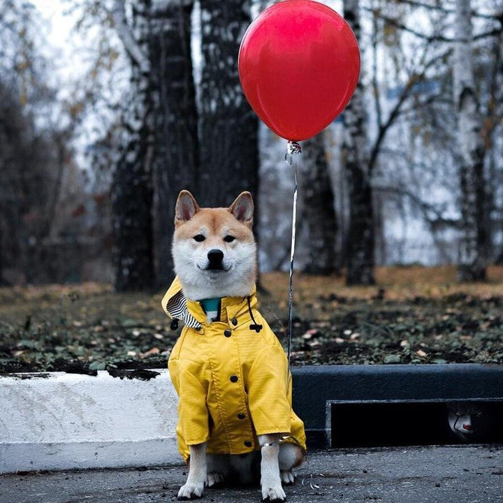 Yellow Hooded Dog Raincoat with Pockets