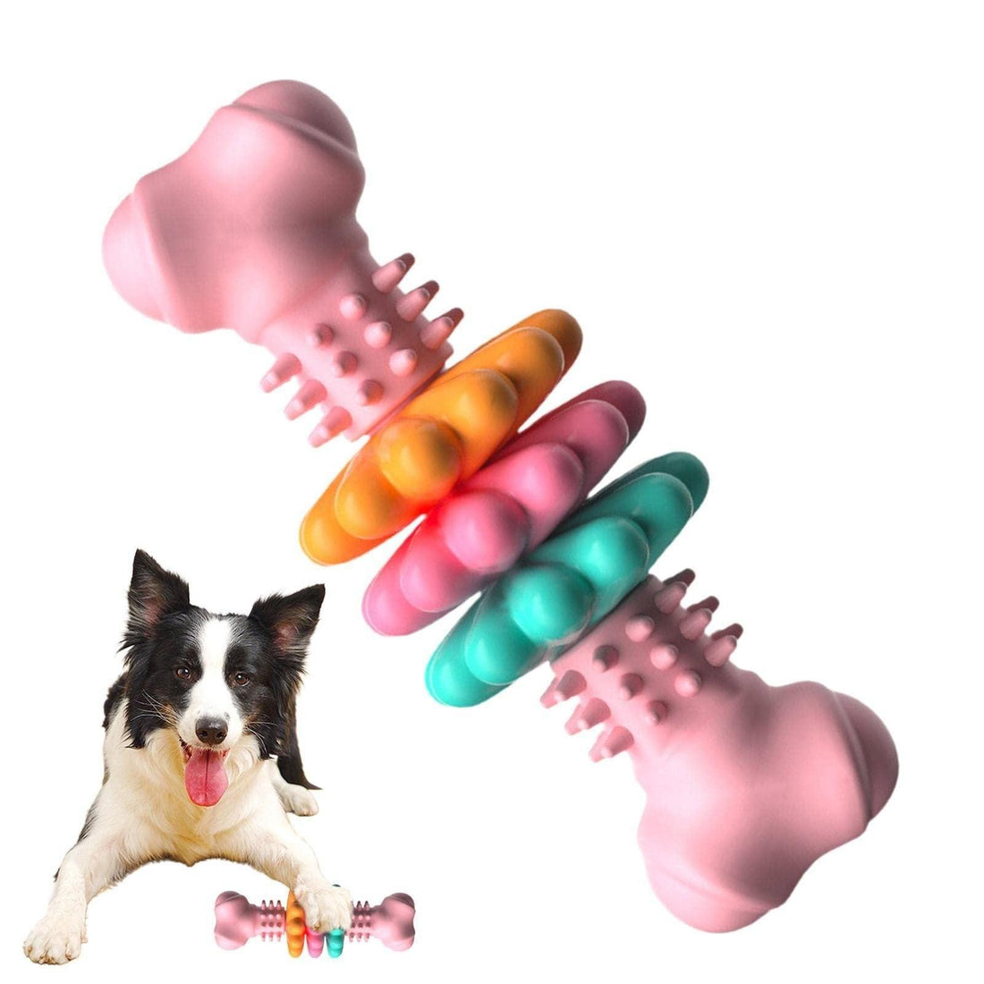 Dog Bite Resistant Teething Bone Chew Toy