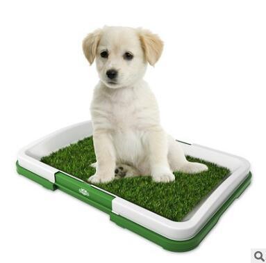 Flat Pet Potty Lawn Trumpet Toilet