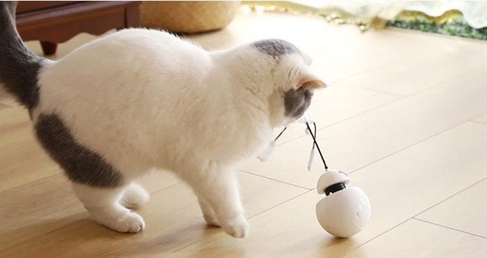 Juguete láser para gatos con forma de robot tres en uno