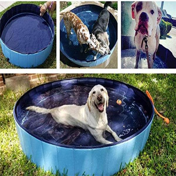 Piscina plegable para mascotas