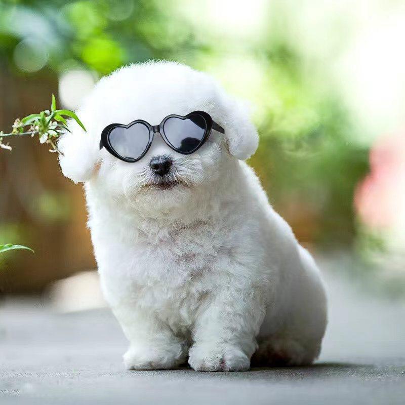 Heart Shaped Trendy Pet Sunglasses