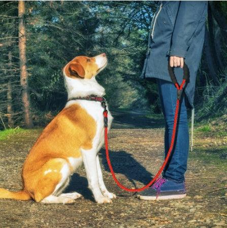 No Pull Heavy Duty Reflective Dog Leash