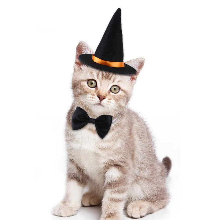 Halloween Pet Witch Hat + Bow Tie Set