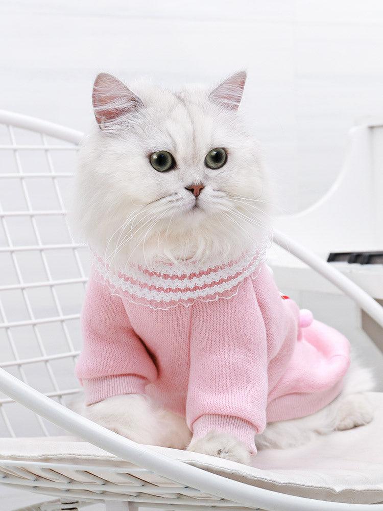 Warm Casual Cat Clothes
