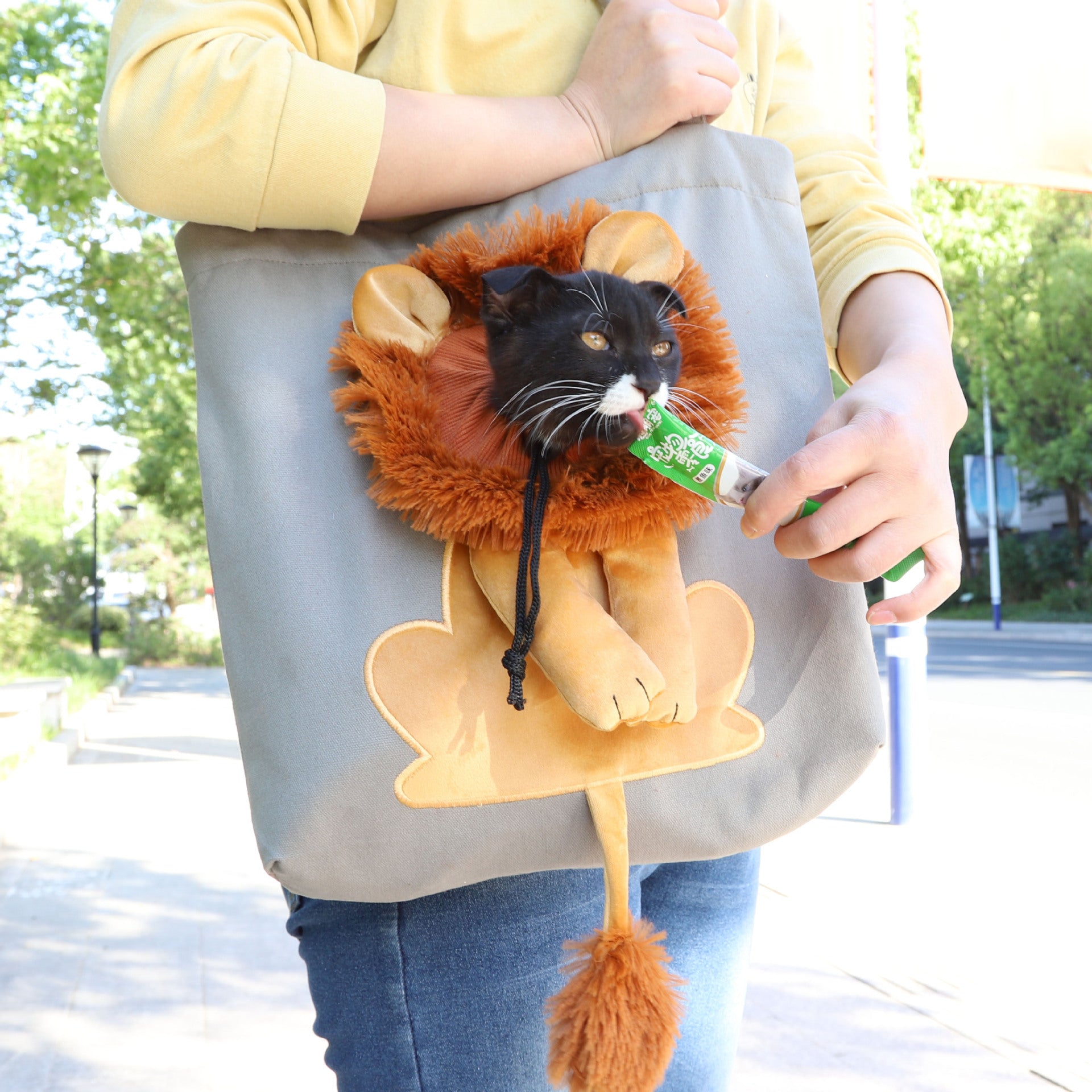 Lion Design Soft Pet Carrier Handbag