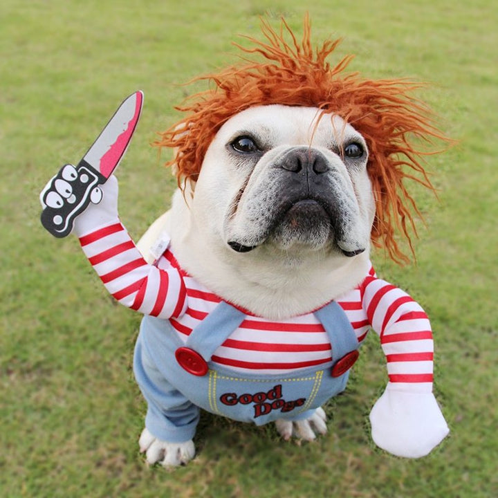 Hilarious Spooky Pet Costume