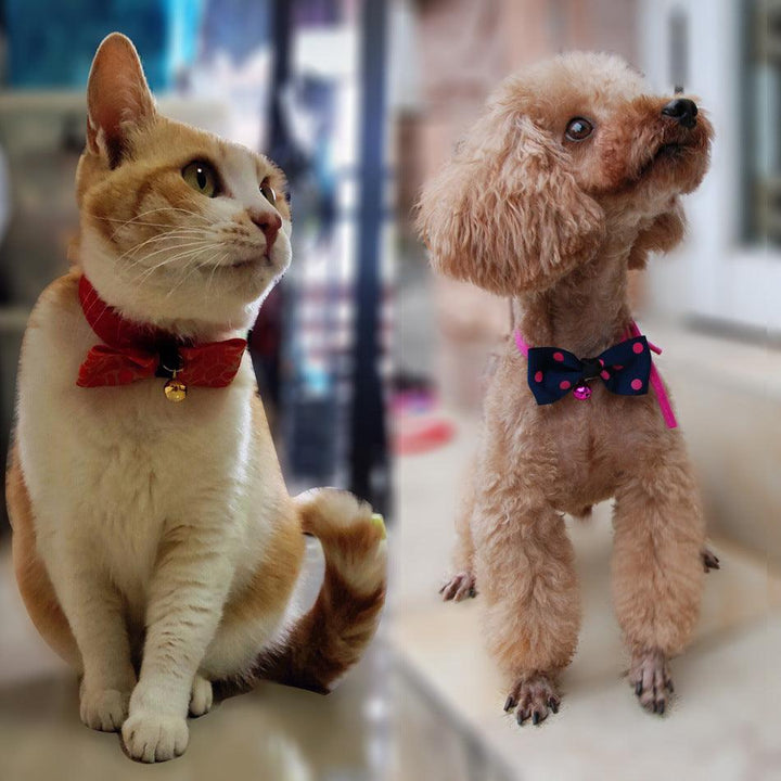 Pet Bow Tie with Adjustable Neckband