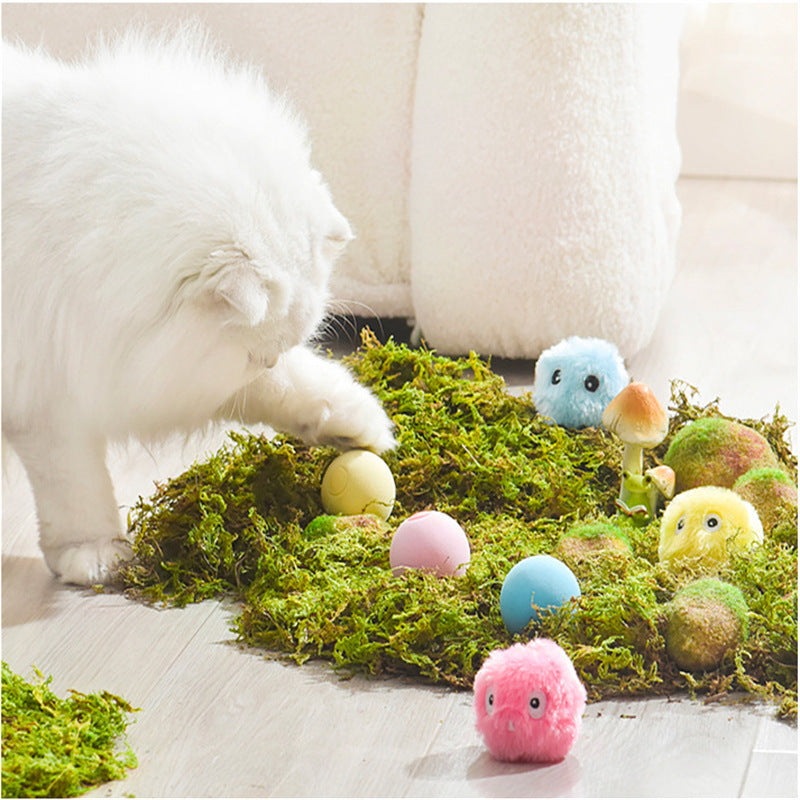 Smart Interactive Ball Catnip Training Toy