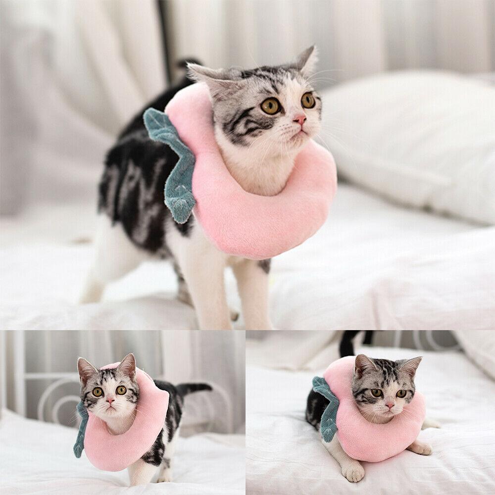 Cute Soft Cat Recovery Neck Collar