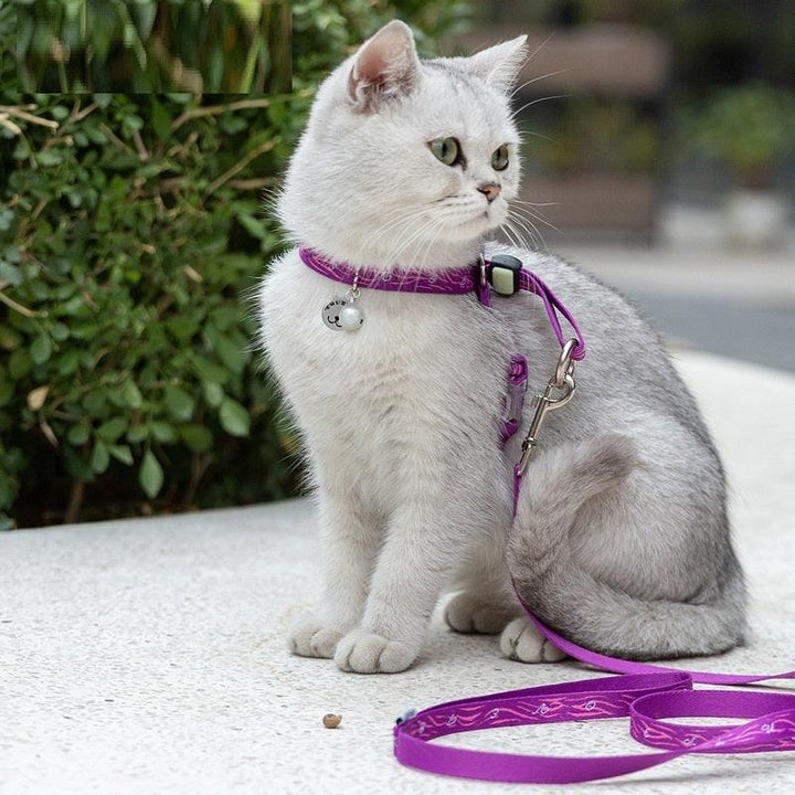 Juego de correas para el pecho con cuerda de tracción y cascabel para gatos