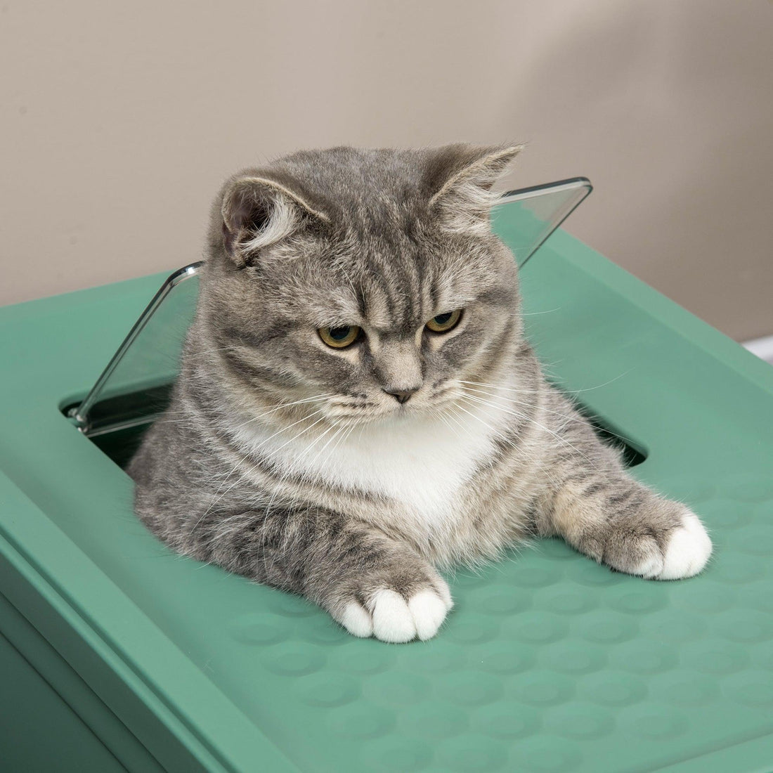 Fully Enclosed Cat Litter Box-snuggletails