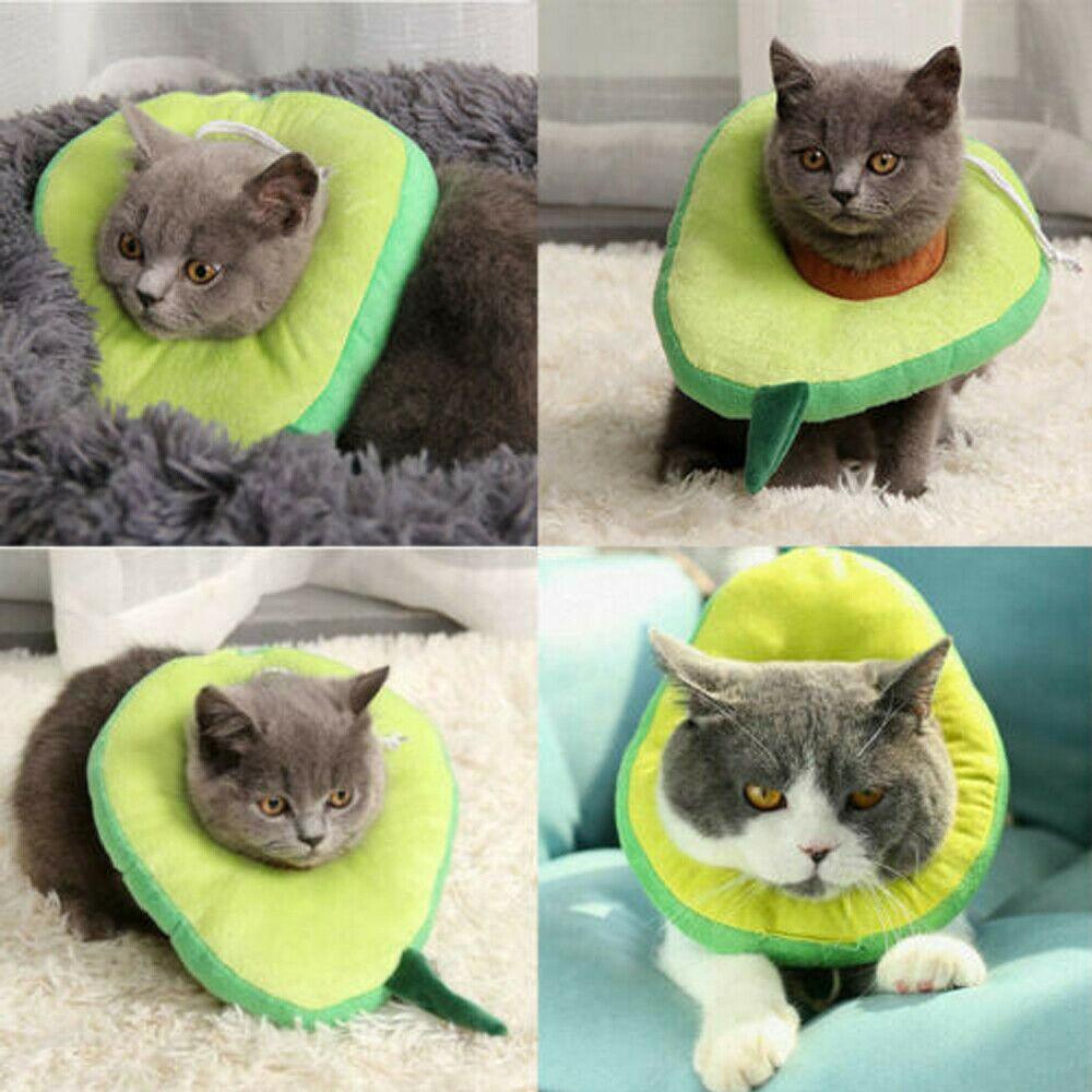 Cute Soft Cat Recovery Neck Collar