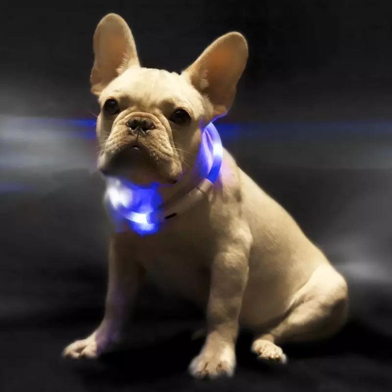 Pet Anti-Lost Light Collar