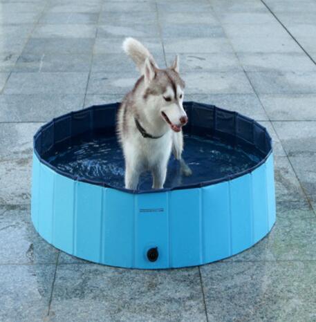 Piscina plegable para mascotas