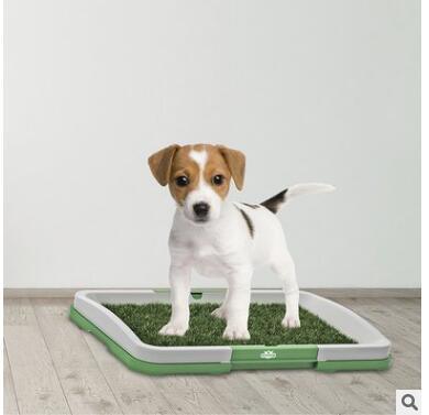 Flat Pet Potty Lawn Trumpet Toilet