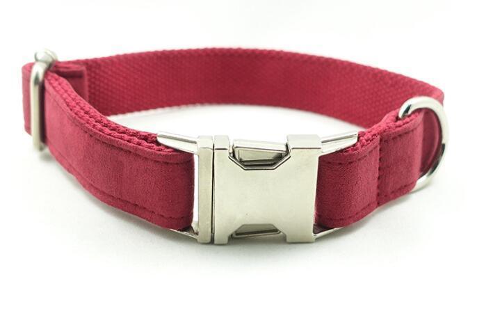 Luxury Dog Traction Collar