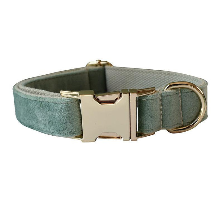 Correa y collar para perro color verde menta