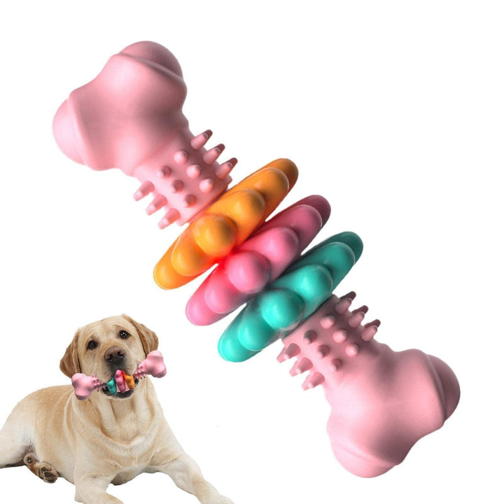 Dog Bite Resistant Teething Bone Chew Toy