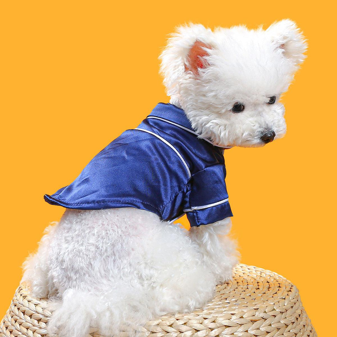 Soft Silk Dog Pajamas