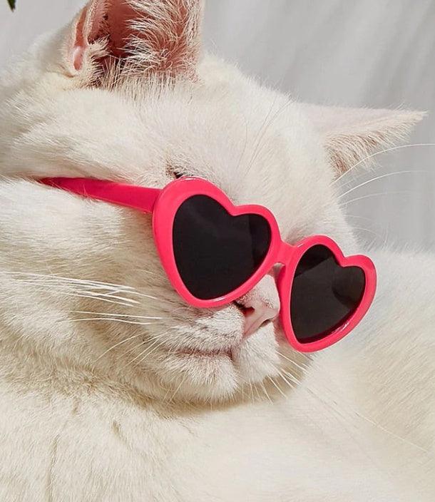 Heart Shaped Trendy Pet Sunglasses