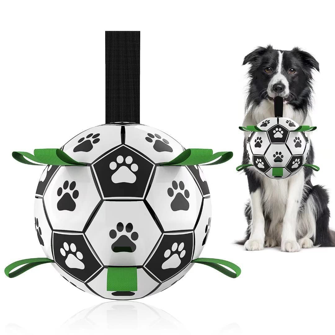 Interactive Football Ball Dog Toy