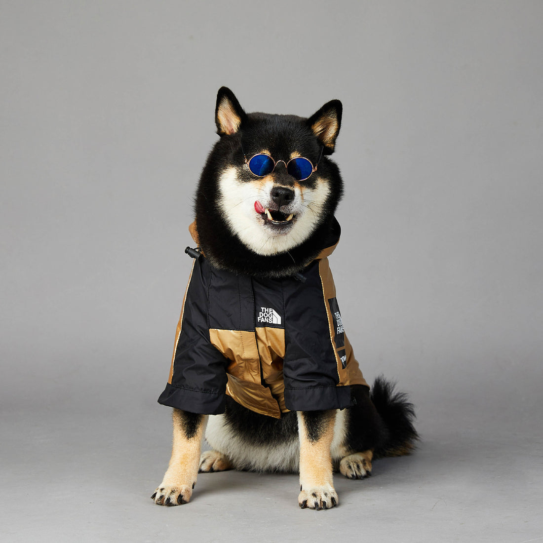 Hooded Dog Raincoat Jacket