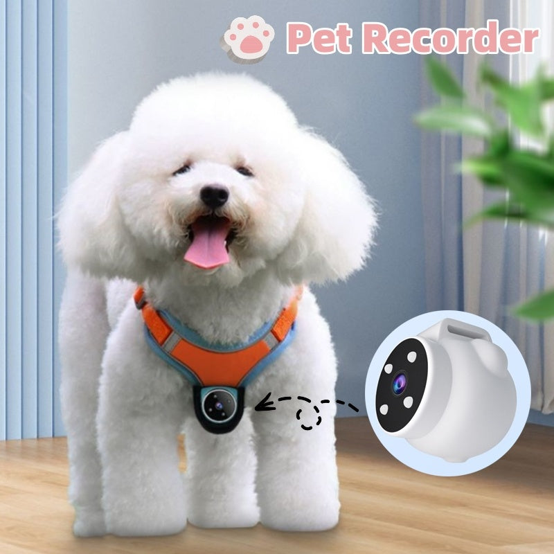 Pet Tracker Collar Viewing Angle Motion